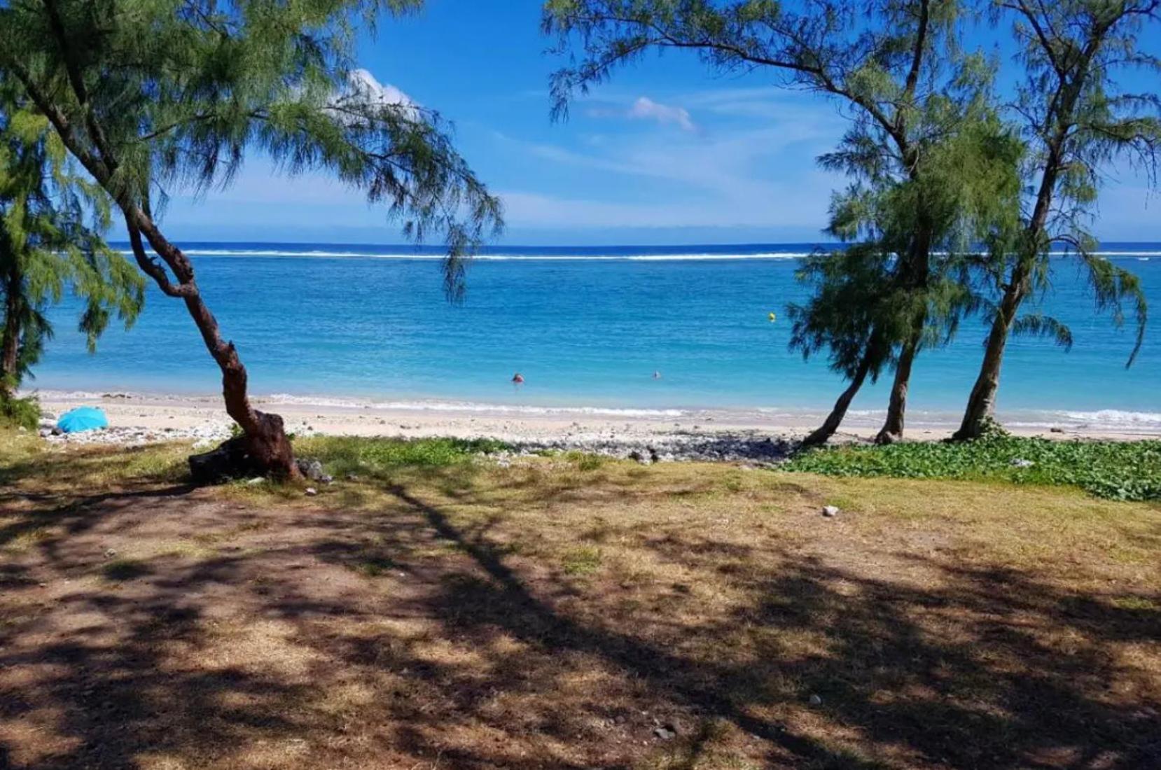 Le Tamarin Bleu - Studio A 300 M De La Plage ลาซาลีน เลอแบ็ง ภายนอก รูปภาพ